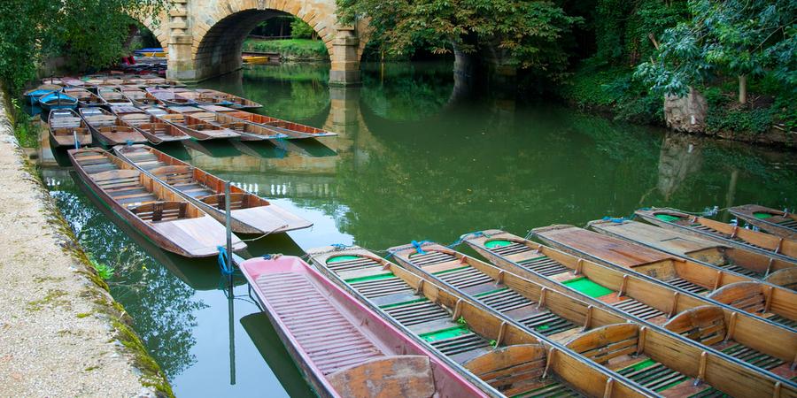 Cambridge Summer School