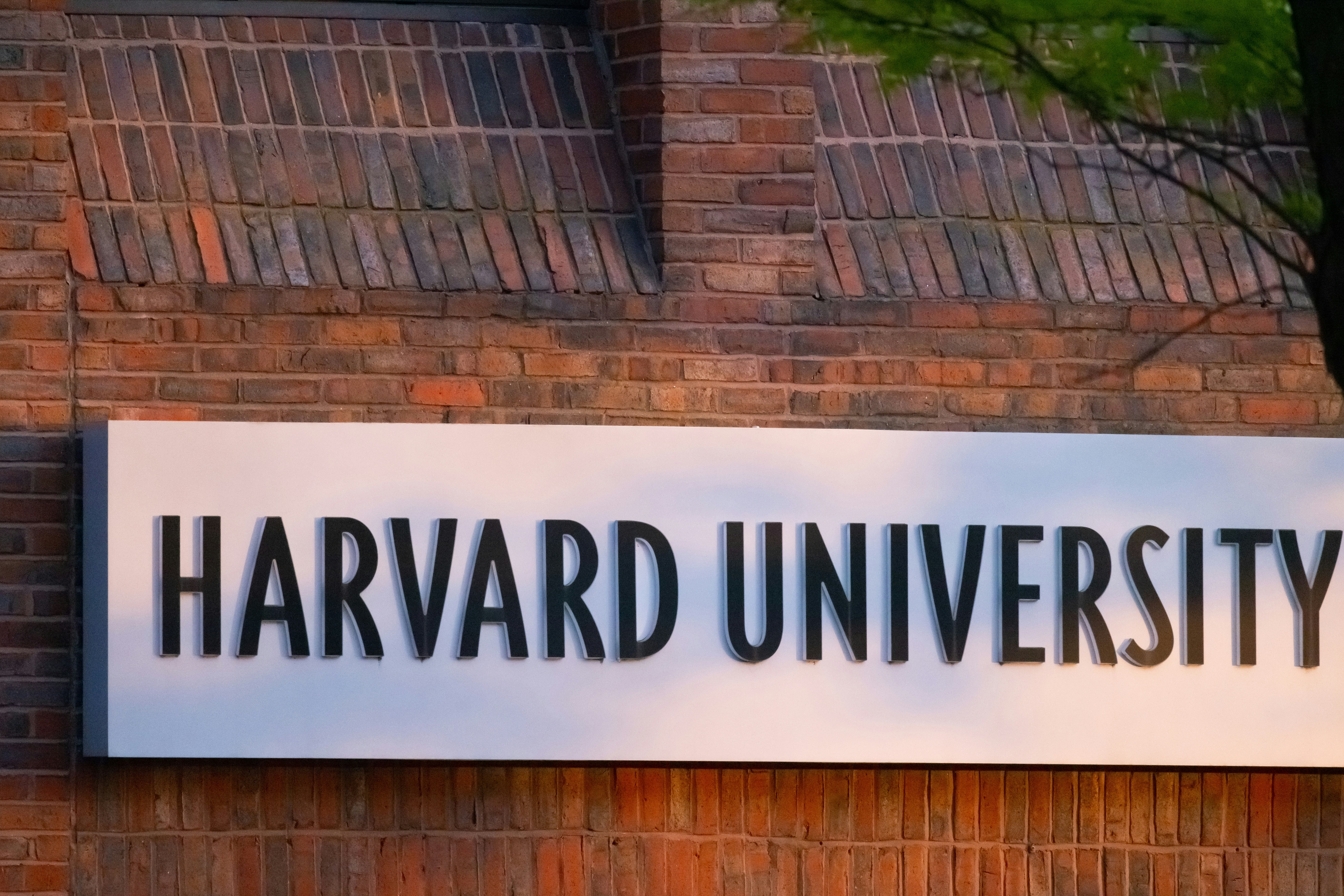 Ban Overturned: Harvard Still Accepting International Students