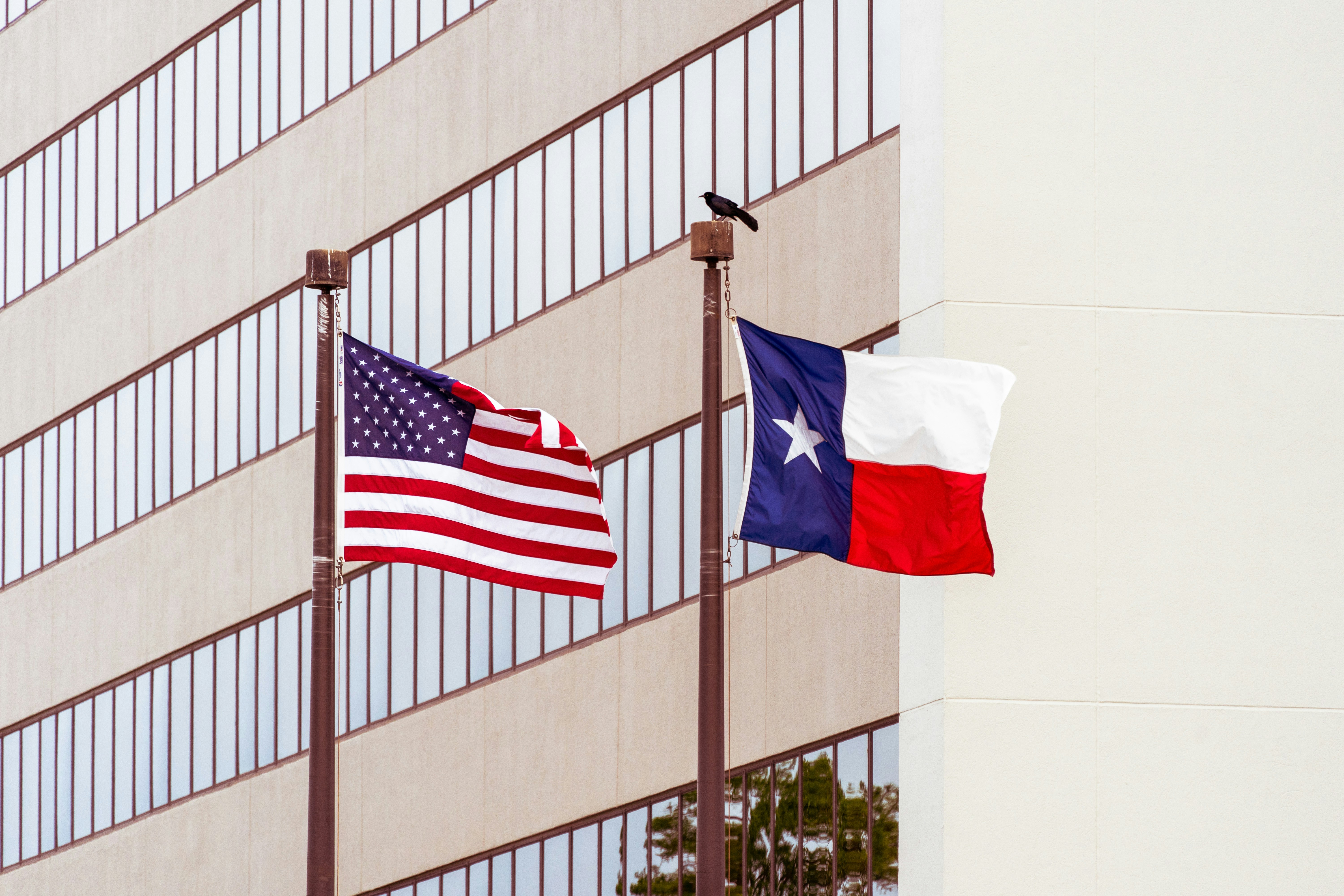Educación gratuita para estudiantes de Texas: ¿Cómo abordan las universidades locales la escasez de talento?